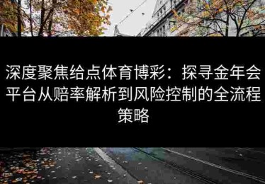 深度聚焦给点体育博彩：探寻金年会平台从赔率解析到风险控制的全流程策略